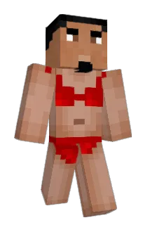 FlyingKip Minecraft avatar full body