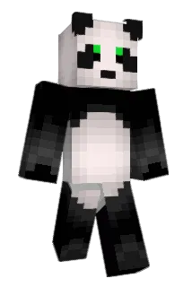 FlyingRD Minecraft avatar full body