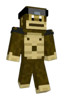 FlyingSweg Minecraft avatar full body