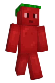 FlyingTomato46 Minecraft avatar full body