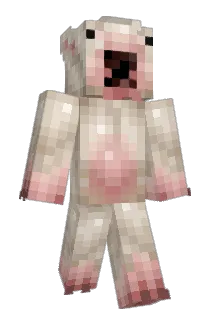 Flyingferret08 Minecraft avatar full body