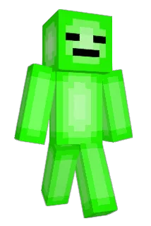 Flynn55 Minecraft avatar full body