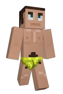 Flyx Minecraft avatar full body