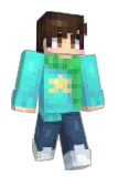 Flyyss Minecraft avatar full body