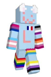 FoF_DSZ Minecraft avatar full body