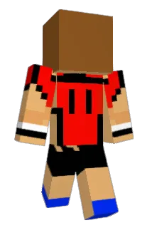 Foboy9 Minecraft avatar full body
