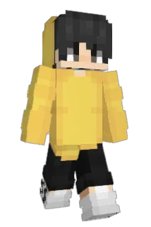 Foced Minecraft avatar full body