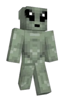Foggle1 Minecraft avatar full body