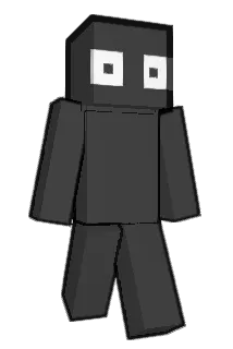 Fokusik11 Minecraft avatar full body