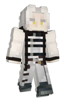 Fool_PL Minecraft avatar full body