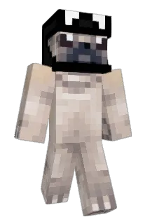 FoolishXh Minecraft avatar full body