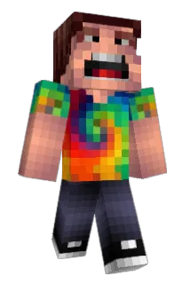 Foolocker Minecraft avatar full body