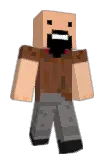 Fopp Minecraft avatar full body