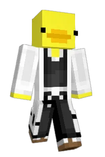 For3ign Minecraft avatar full body