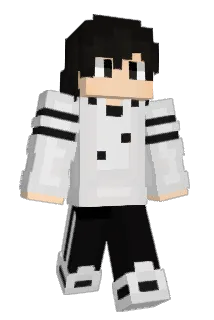 ForTUX71 Minecraft avatar full body