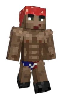 ForceSF Minecraft avatar full body
