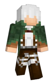 Ford614 Minecraft avatar full body