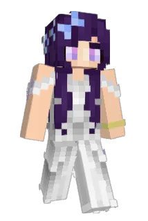 Fordham_Family Minecraft avatar full body