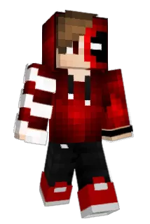 Forein Minecraft avatar full body