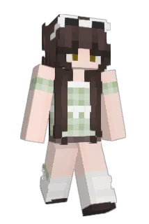 Forg2409 Minecraft avatar full body