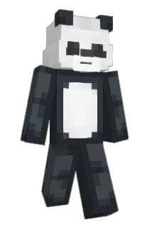 ForgotSimply Minecraft avatar full body