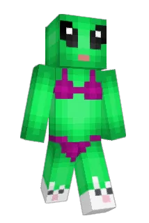 ForkInAMicrowave Minecraft avatar full body