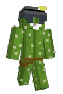 Fortress123 Minecraft avatar full body