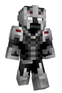 FortuneSZ Minecraft avatar full body
