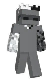 Forwar_YT Minecraft avatar full body