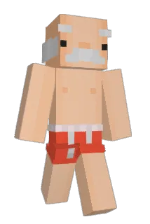Forxenn Minecraft avatar full body
