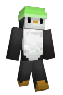 FotoDeAnjoReal Minecraft avatar full body