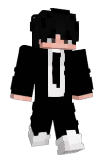 FourVis Minecraft avatar full body