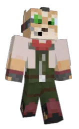 Custom render preview