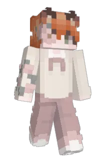 FoxBinnn Minecraft avatar full body