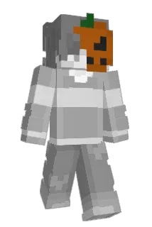 Fox_555 Minecraft avatar full body