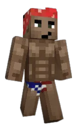Custom render preview