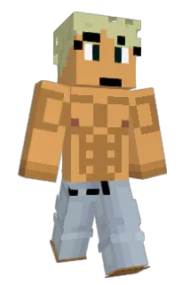 Foxidox222 Minecraft avatar full body