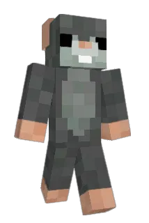 Foxsunami Minecraft avatar full body