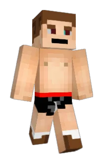 Foxtubeboy Minecraft avatar full body