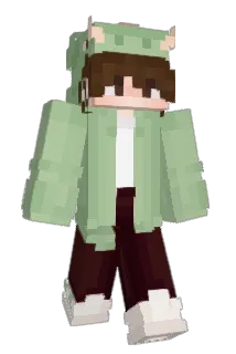 Foxx_737 Minecraft avatar full body