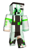 FoxyH Minecraft avatar full body