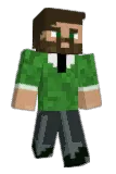FozwiK Minecraft avatar full body
