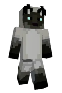 Fr00gY51 Minecraft avatar full body