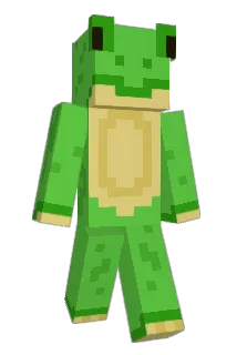 Fr0g244 Minecraft avatar full body