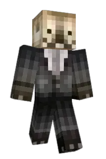 Fr0zenFire88 Minecraft avatar full body