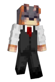Fr1edChiken Minecraft avatar full body