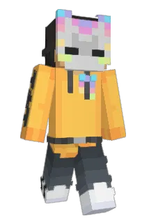 Fr1tzy Minecraft avatar full body