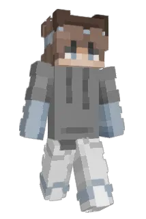 Fr345 Minecraft avatar full body