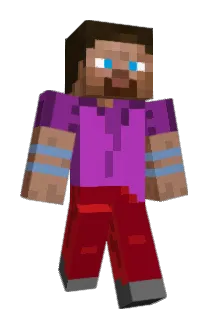 Fr3derius Minecraft avatar full body