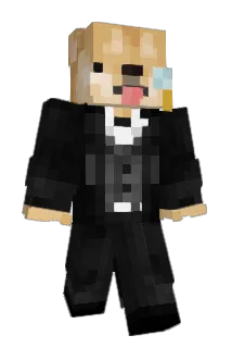 Fr3zzy__ Minecraft avatar full body